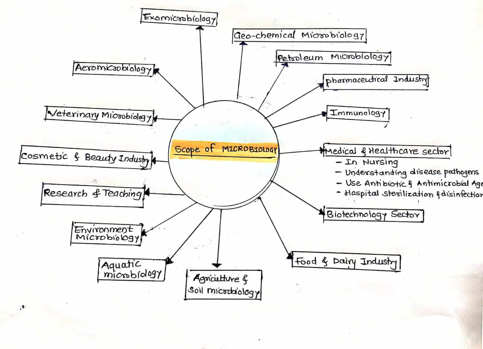 Overall Scope of Microbiology