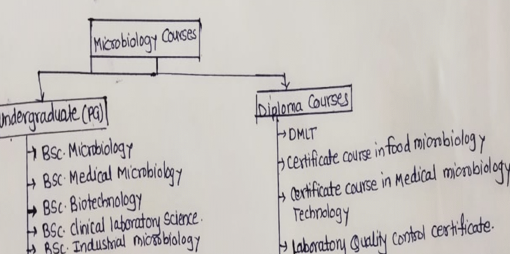 Diploma and certificate Microbiology courses
