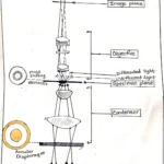Phase-Contrast Microscope