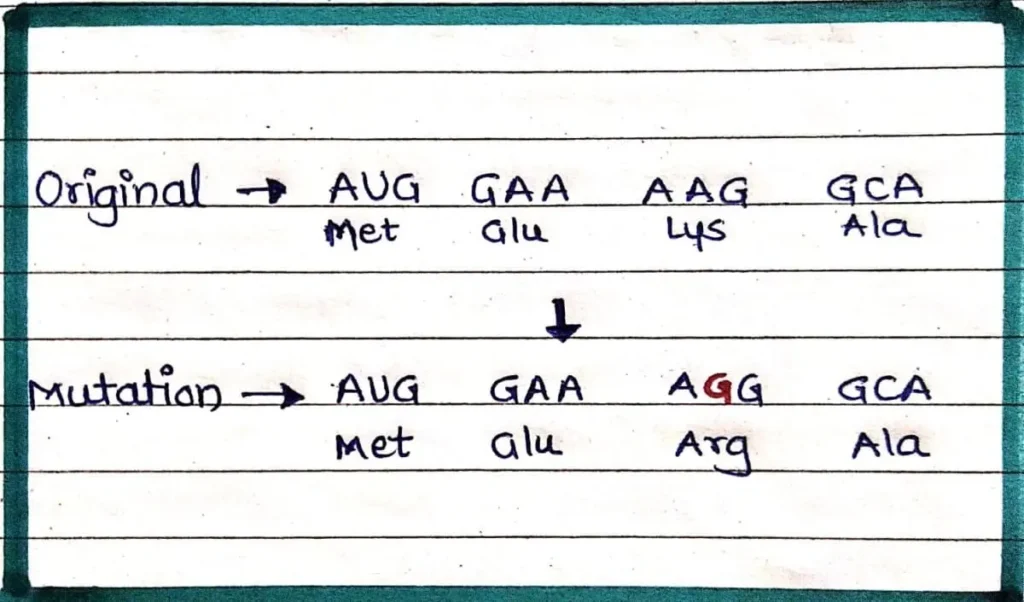 Missense mutation diagramatic simple explanation