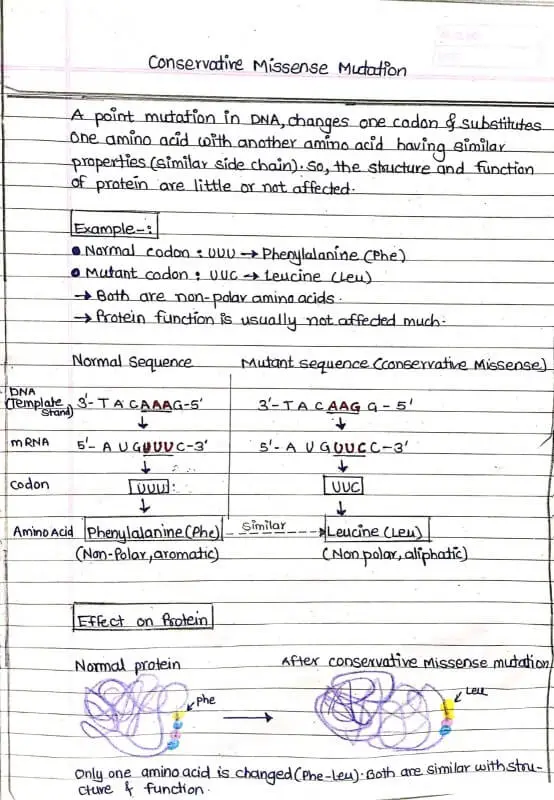  Conservative Missense Mutation