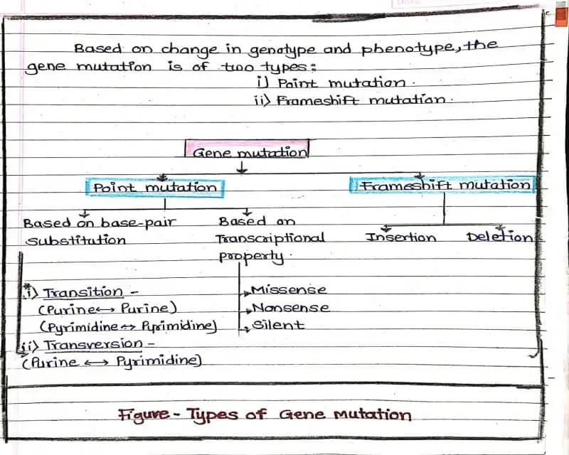 Types of Gene Mutation.