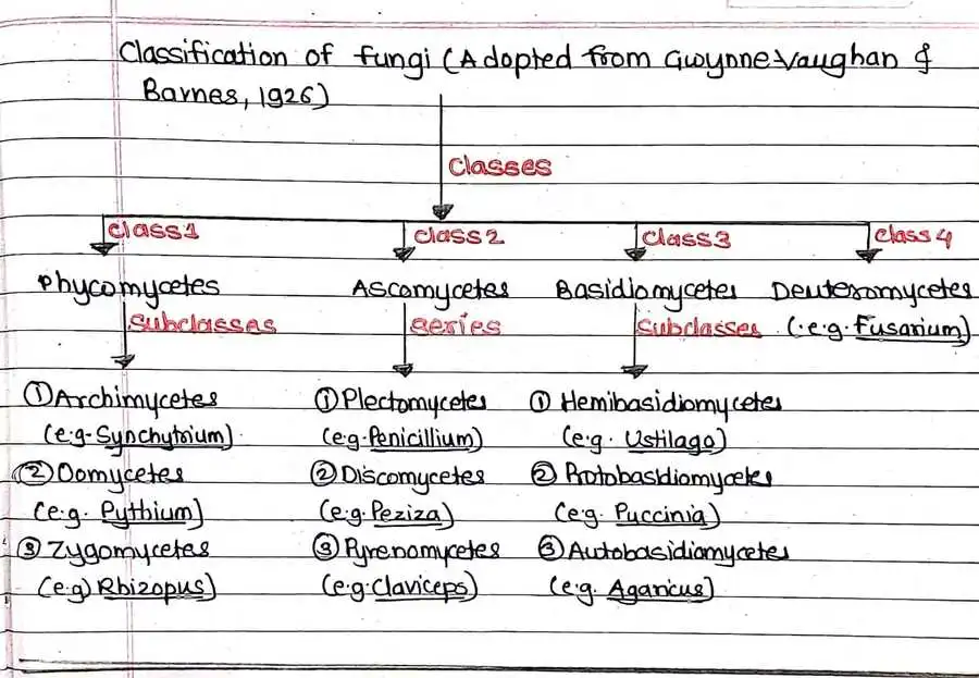 Classification of fungi Taken from Gwynne Vaughan and Barnes 1926