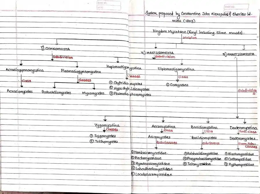 Alexopoulos and Mims' (1979) classification system for fungi.