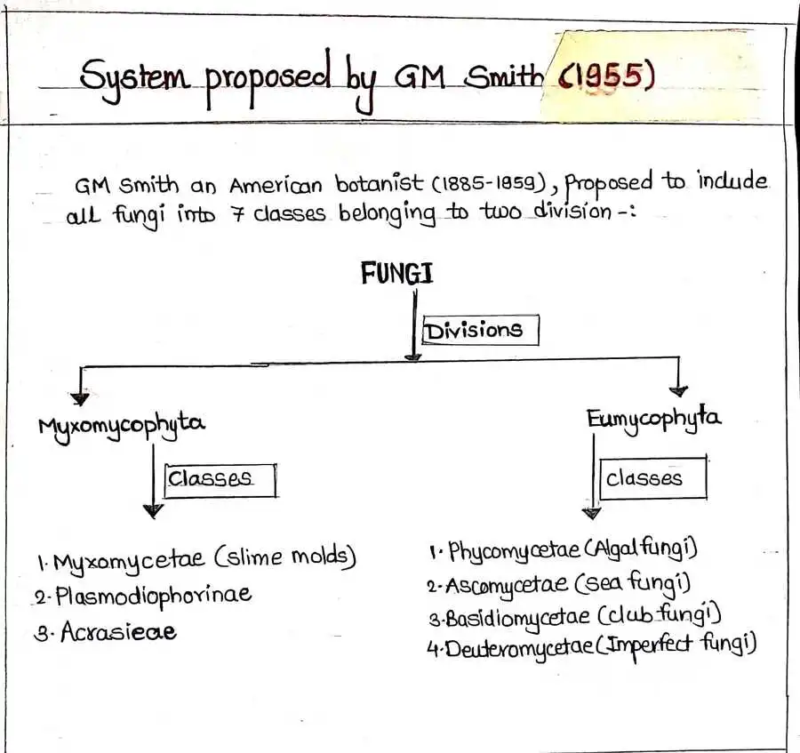 The G. M. Smith system (1955) classification system for fungi.